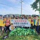 실버정은 이미지