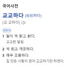 교교하다
