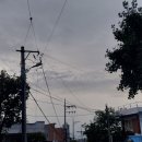 선화로53길 네이버블로그
