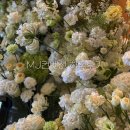 소사역(서해선) | 부천 소사역 웨딩홀 MJ컨벤션 뷔페 및 하객 후기