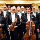 제주체임버오케스트라 이미지