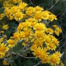 별산농장 이미지