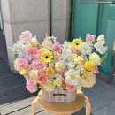 플레르쉐무아