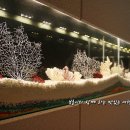 스위트테라피
