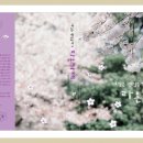 라온하제(즐거운 내일) 이미지