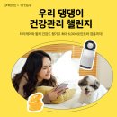펫프렌즈 이미지