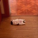 부일로685번길 이미지