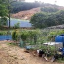 비산농장 이미지