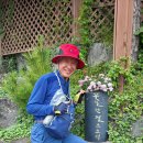 궁항경로당 이미지