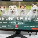 Petshill (펫츠힐) 이미지
