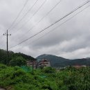 용문산콘도렉스 이미지