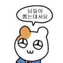 섹시윙크