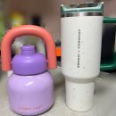 퍼플랩 | 텀블러 추천 내돈내산 차코랩 린린 구매 후기 핑크 퍼플