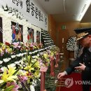 헌화 연합뉴스