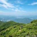 샤모니 Daum카페