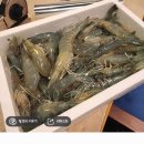 강화도청정수산