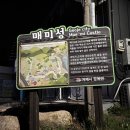 세븐일레븐(거제매미성점) 네이버블로그