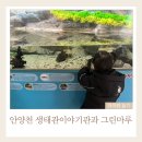 아이마루안경 | 안양천 생태관이야기관 그린마루 아이랑 실내 무료 체험관