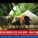 이레네코리아