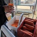 대구 칠곡 가산수피아 눈썰매장 눈놀이뜰 알파카먹이주기 체험후기