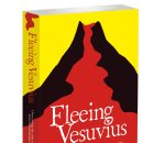 Fleeing Vesuvius : Overcoming the Risks of Economic and Environmental Collapse 이미지