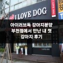 내강아지 | 아이러브독 강아지분양 부천점에서 만난 내 첫 강아지 후기
