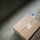 새열린약국 | 2월이 된 후 한달하고도 10일이 흐른 사건(~3.10)