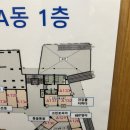 세종힐링, 세종다이어트 나성동 찜질카페 &#34;건강을더하다&#34; 후기
