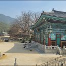영축산 티스토리