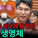 눈은 흔들리는데 세상은 왜 멀쩡할까? 뇌가 만들어낸 안정된 시야의 비밀 (feat. 김안모 교수) 이미지