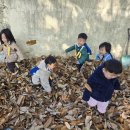 마법에 걸린 개구리왕자 이미지