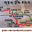 2018/4월.28일.(토).열차여행과.한국최고의.오지 체르마트 세평비경길.트레킹 . 이미지