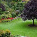 슬기로운약국 이미지