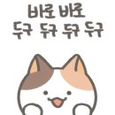 붐헤어샵 이미지