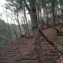 더덕농장 이미지