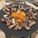 팔꽁이 이미지