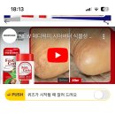 캐시워크 정답 스쿠알란 이미지