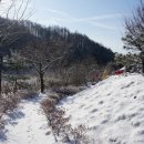 와수리약국 이미지