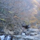 지리산 4 - 피아골 삼홍소 까지 걸어서 구경하고 하산하다! 이미지