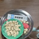 고양이 유치원 | 부산 광안리 / 냥냥늉늉 광안리고양이카페 아이랑 방문후기