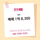 에이스 공인중개사 사무소 이미지