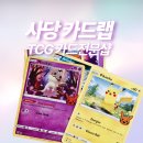 카드랩 | 사당 카드샵 TCG 카드 전문 카드랩 | 포켓몬 PSA 등급 받으러 간 후기