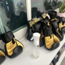 라온미트 이미지