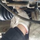 오토오아시스 바이오1점 이미지