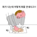 죽지도 않고 돌아온 개정 토플 피의 복수전