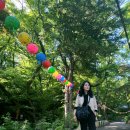 서형 이미지