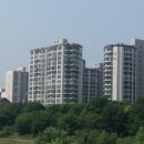 분당-108 네이버블로그