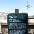 봄이화 이미지