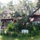 파인우드비치 이미지