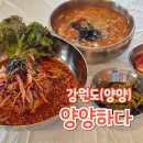 양양하다 이미지